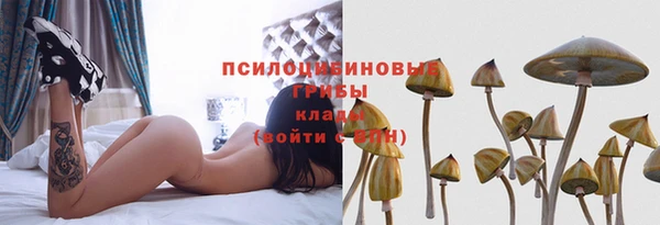 эйфоретик Вязьма