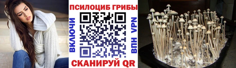 Купить где  Нерехта  Галлюциногенные грибы мухоморы 